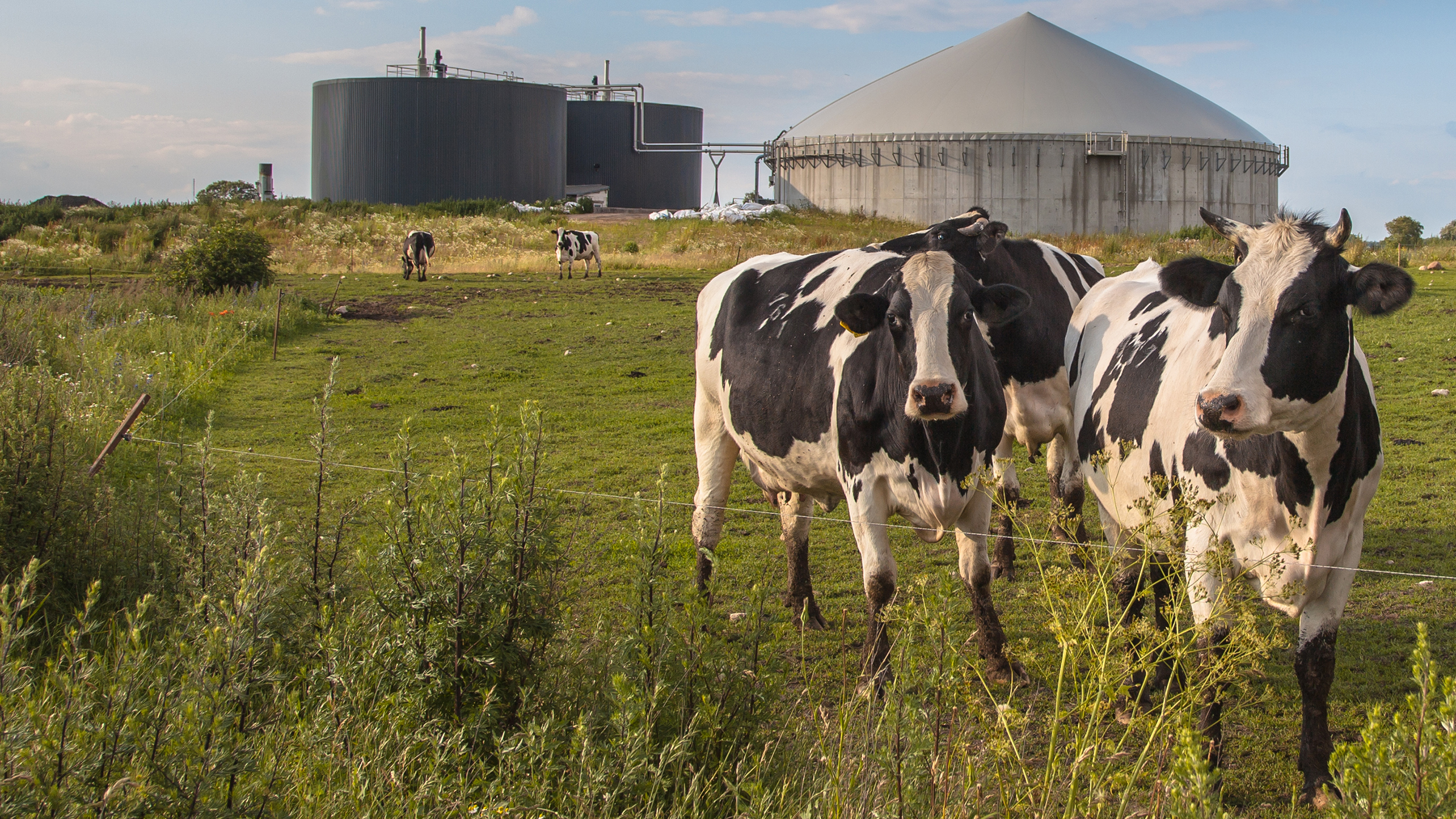 Cleveland Browns going Green with BIOGAS